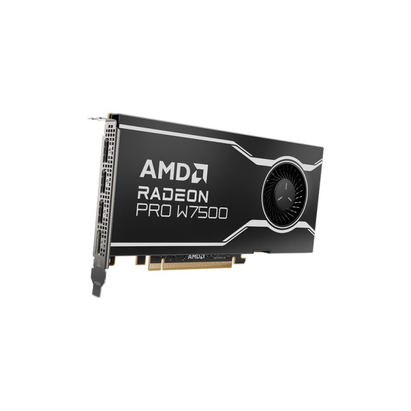 AMD Radeon Pro W7500 8GB GDDR6 Workstation Grafikkarte 4x DP 2.1